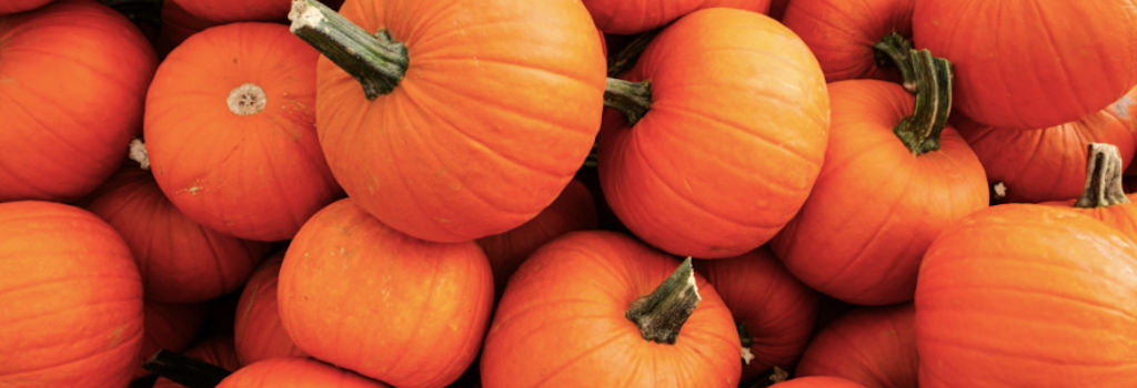 halloween pumpkins